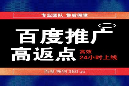 SEO策略在电商平台的成功应用案例