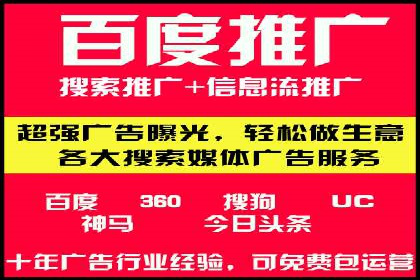 百度竞价推广在电商领域的赚钱案例